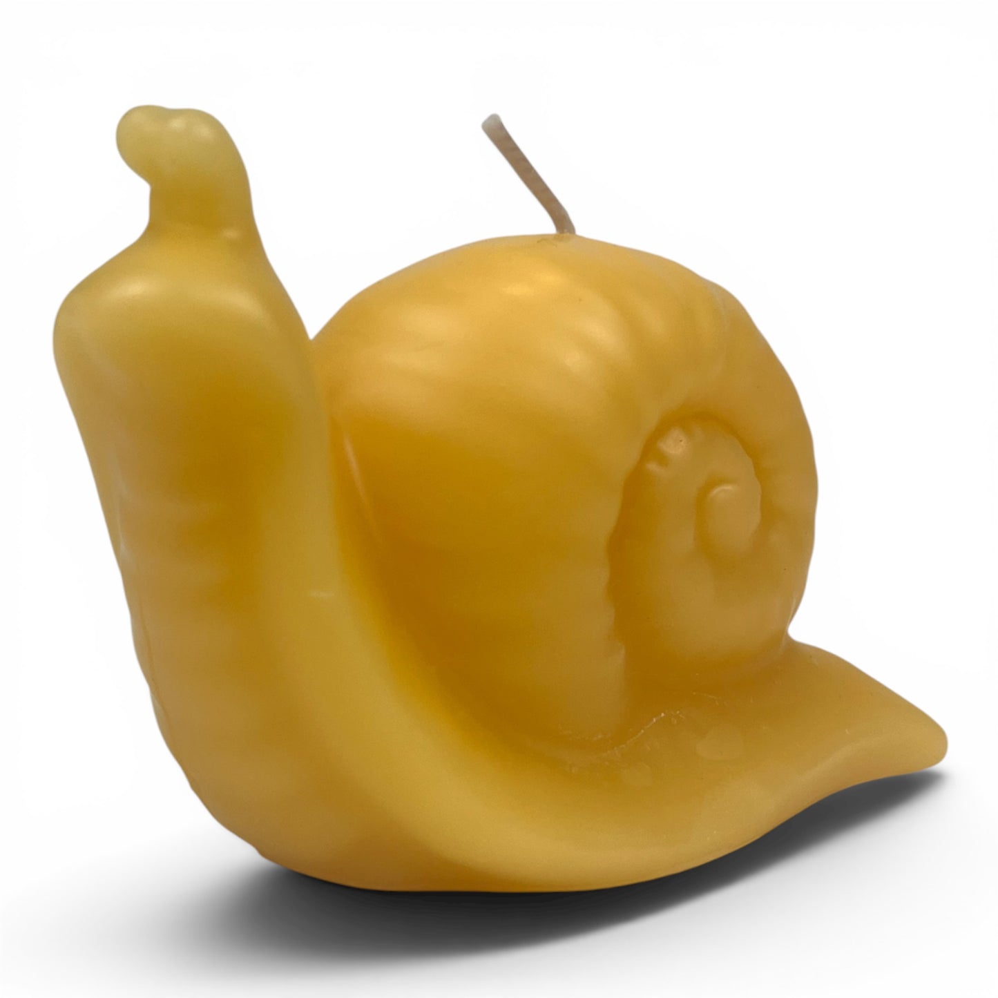 100% Beeswax Snail Candle