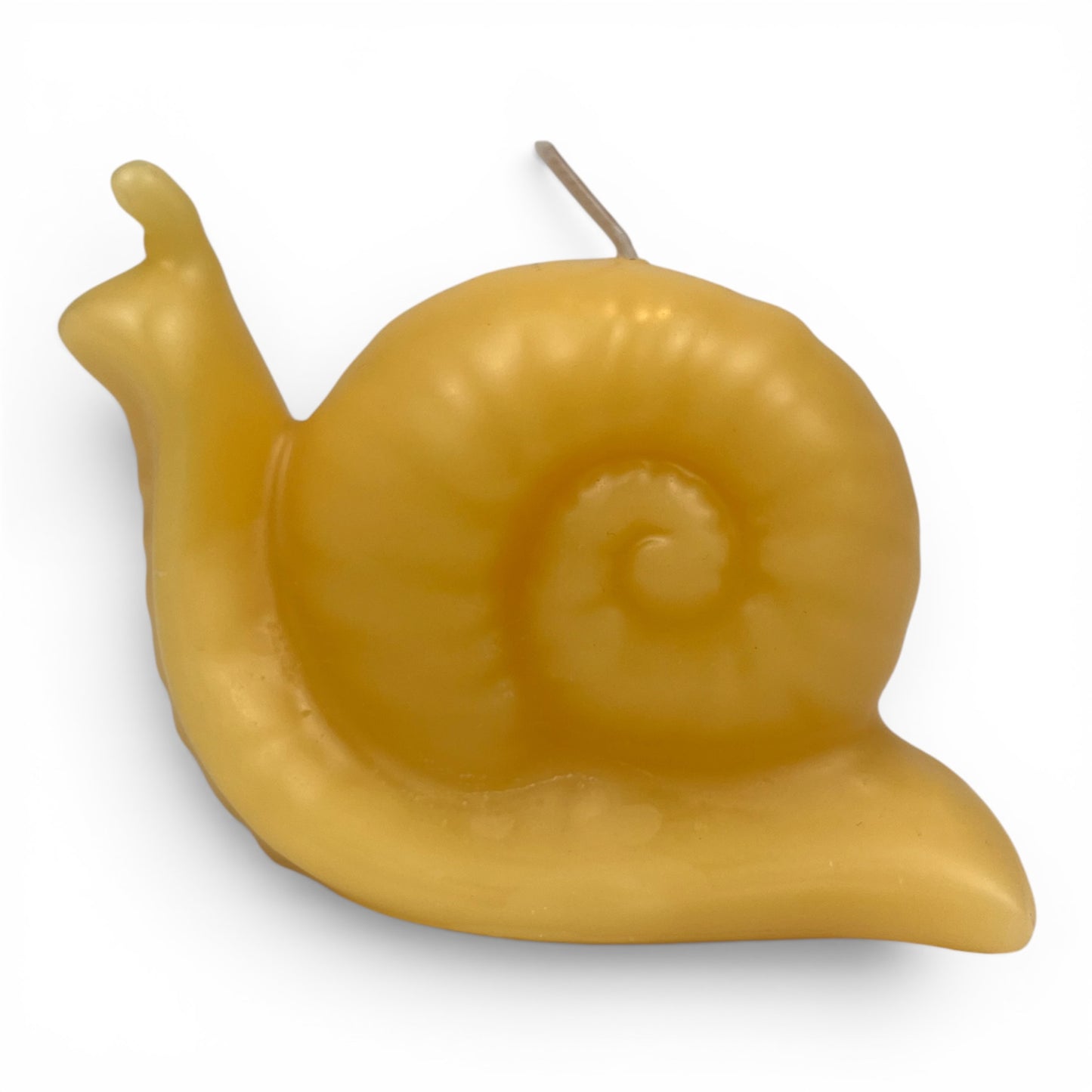 100% Beeswax Snail Candle