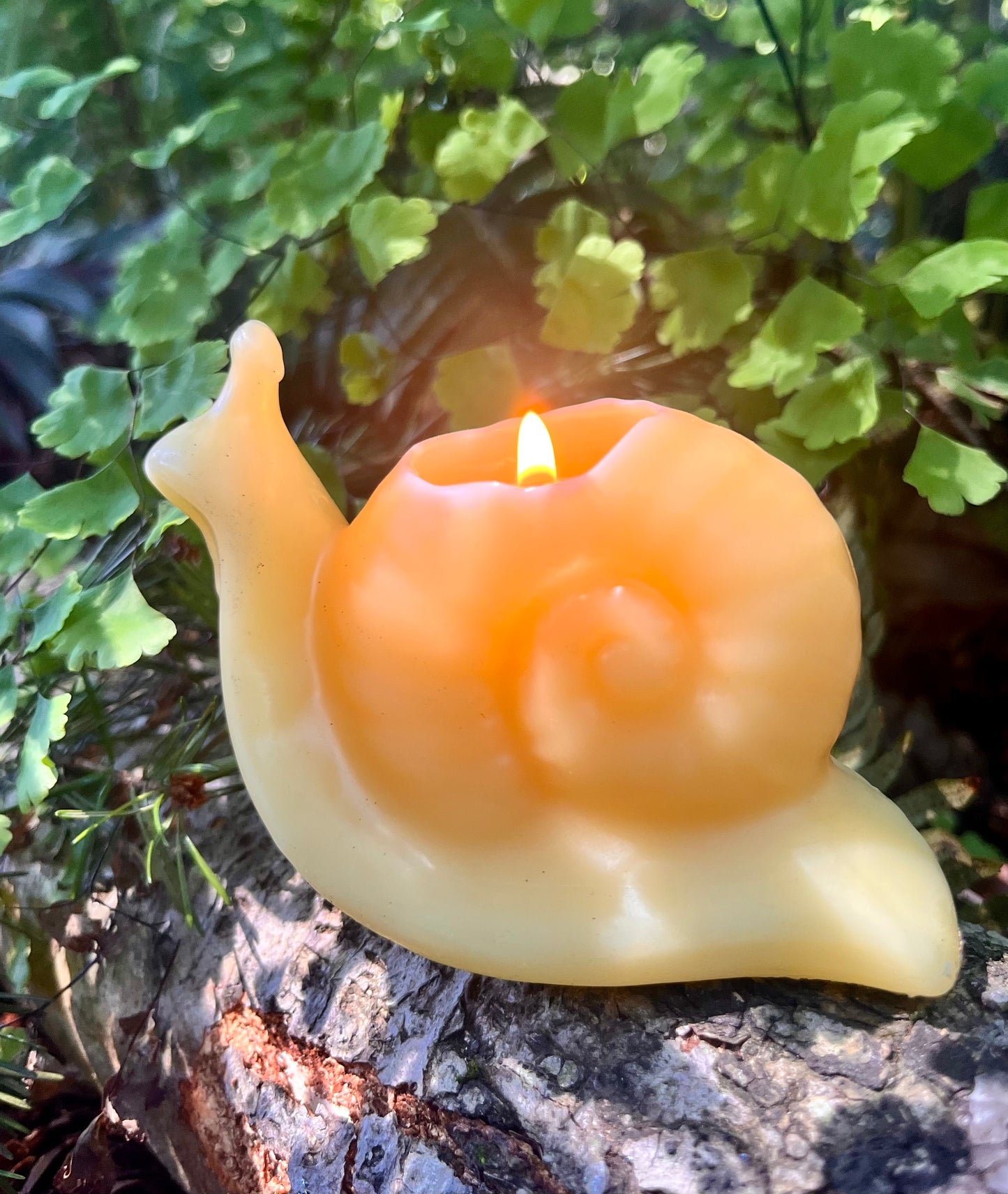 100% Beeswax Snail Candle