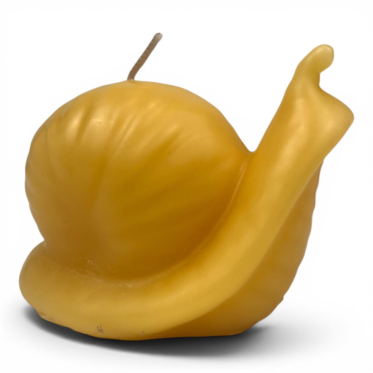 100% Beeswax Snail Candle